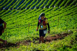 BIB: 9627
                            <button type="button" onclick="openModal(19160600)" class="btn btn-primary btn-sm float-right btn-popup" data-toggle="modal" data-target=".modal-high-quality">
                        <i class="fas fa-shopping-cart"></i> Add to Cart
                    </button>
                                            <button type="button" onclick="isThisMe(19160600, true)" class="btn btn-success btn-sm float-right btn-popup btn-isme hidden" data-toggle="tooltip" data-placement="bottom" title="นี่คือรูปของคุณใช่ไหม คลิกที่นี่เพื่อเอาเข้าอัลบั้ม">
                        <i class="fas fa-plus"></i> Add to album
                    </button>
                    <button type="button" onclick="isThisMe(19160600, false)" class="btn btn-warning btn-sm float-right btn-popup btn-isnotme hidden">
                        <i class="fas fa-ban"></i> Remove from album
                    </button>